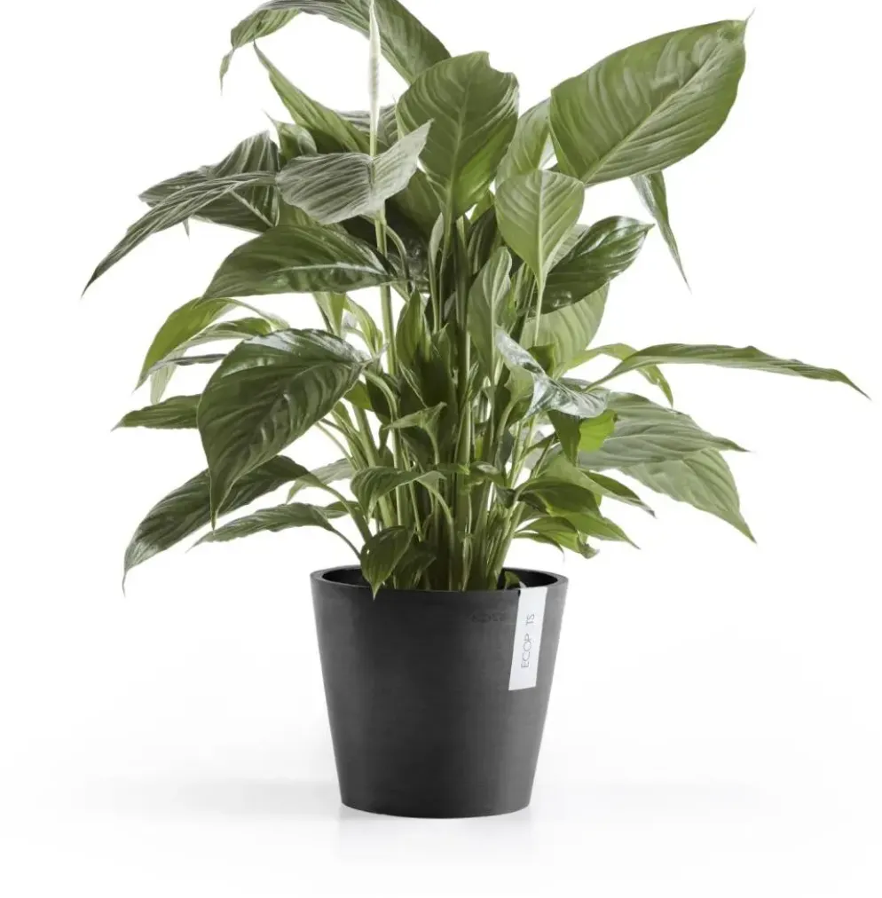 Ecopots kunststof bloempot amsterdam 20x17.7 cm donkergrijs