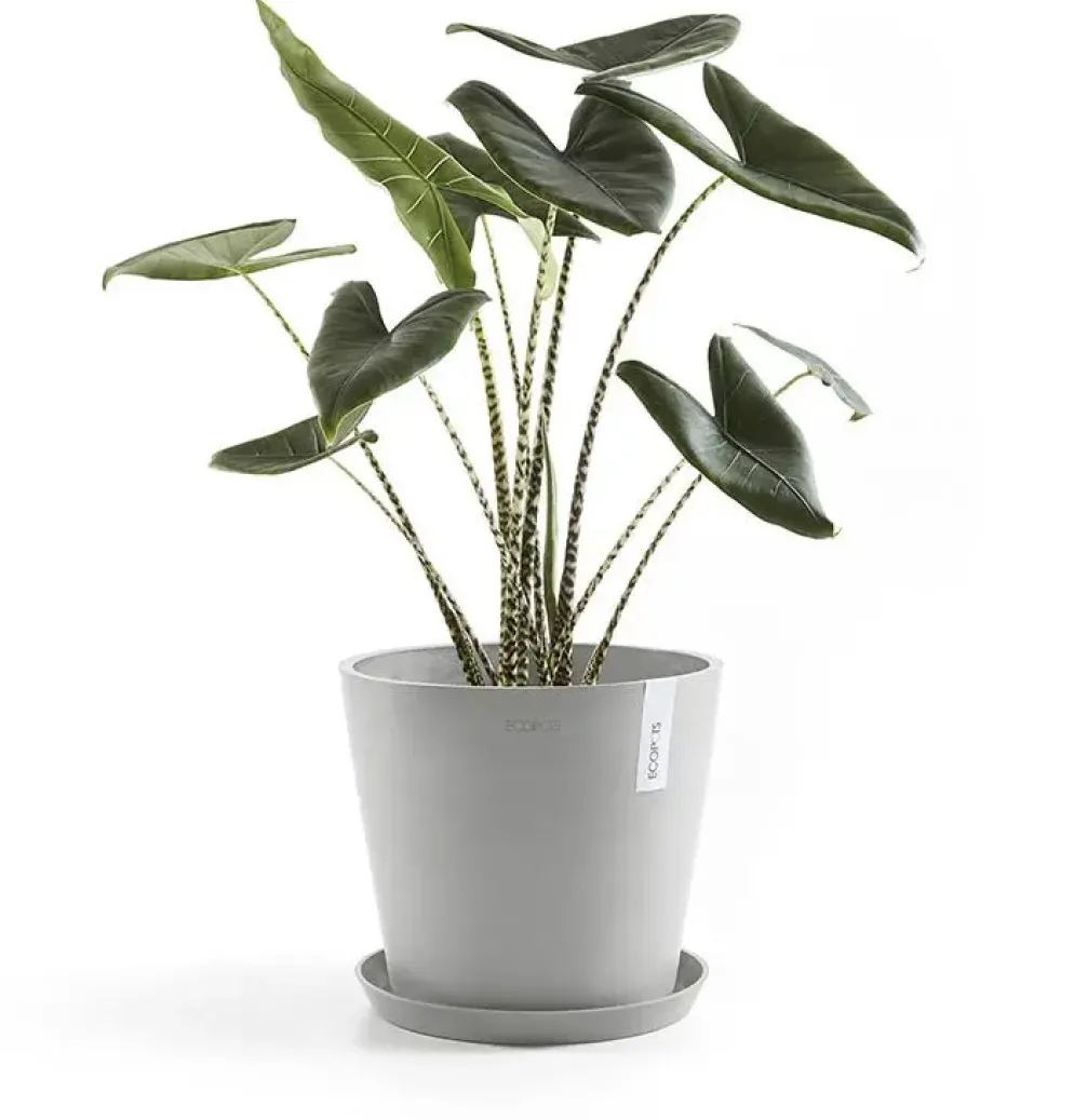 Ecopots kunststof bloempot amsterdam 30x26.3 cm witgrijs
