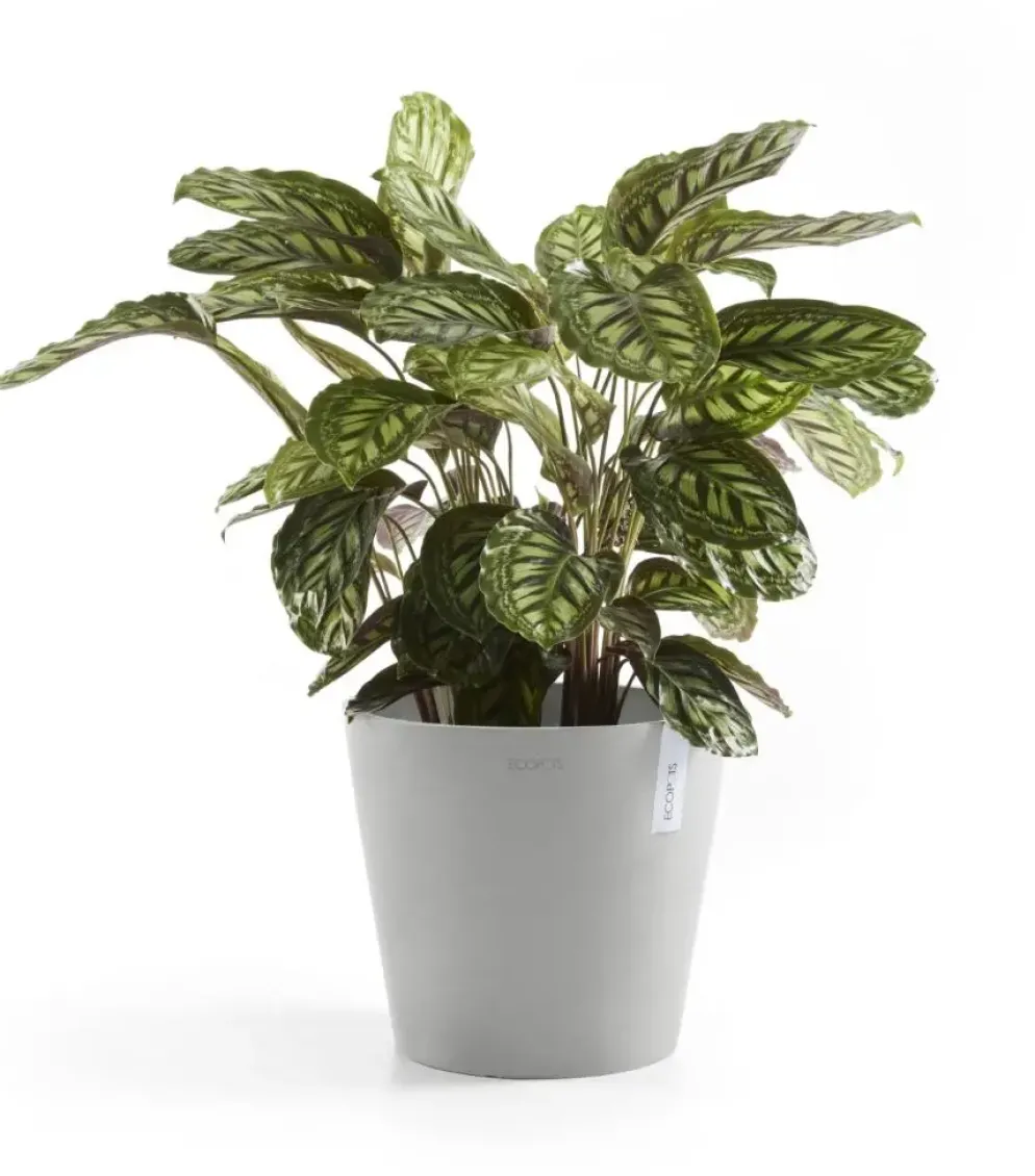 Ecopots kunststof bloempot amsterdam 30x26.3 cm witgrijs