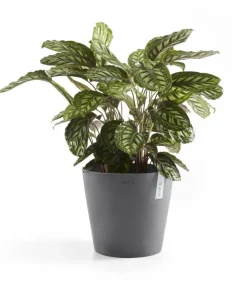 Ecopots kunststof bloempot amsterdam 30x26.3 cm grijs