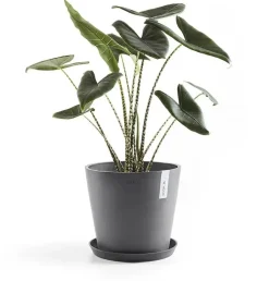 Ecopots kunststof bloempot amsterdam 30x26.3 cm grijs