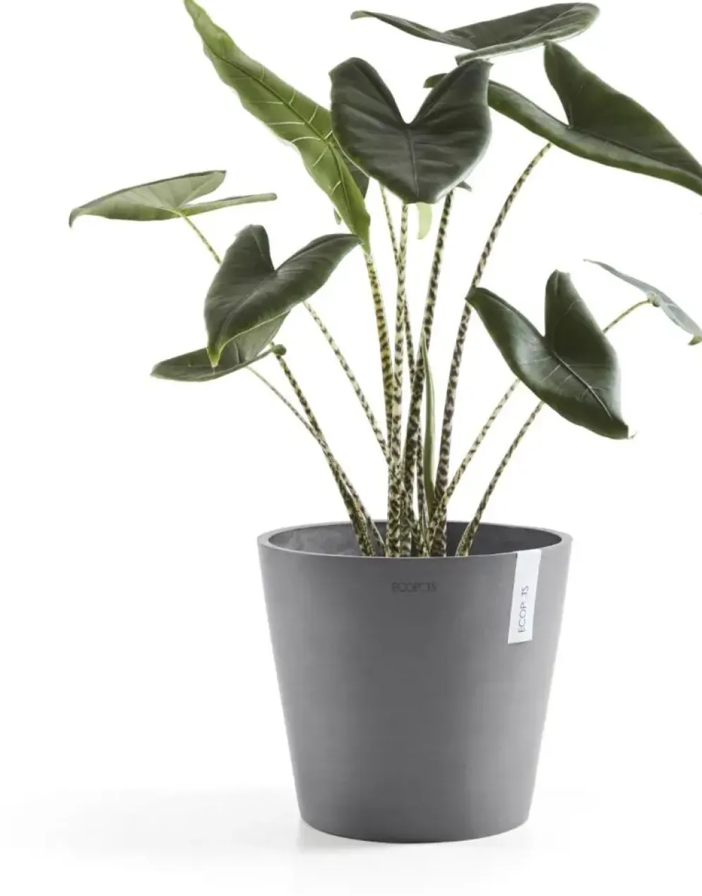 Ecopots kunststof bloempot amsterdam 40x35 cm grijs