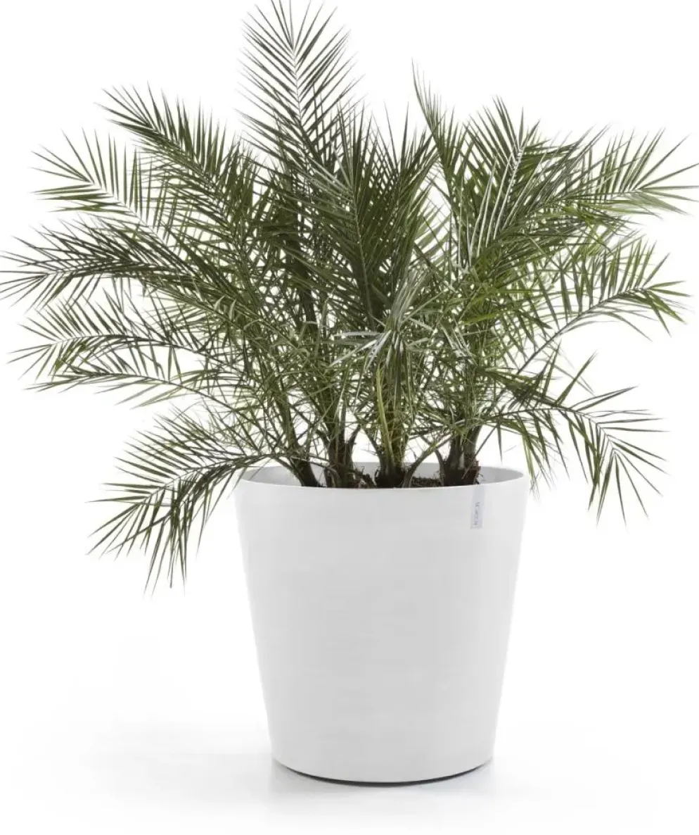 Ecopots kunststof bloempot amsterdam met wielen 60x56 cm puurwit