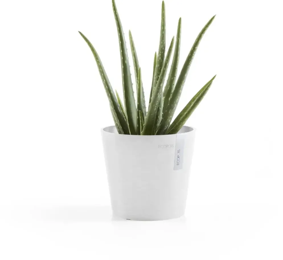 Ecopots kunststof bloempot amsterdam 17x14.7 cm puurwit