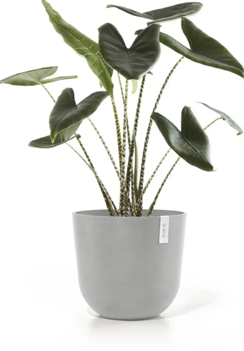 Ecopots kunststof bloempot oslo 45x39.2 cm witgrijs
