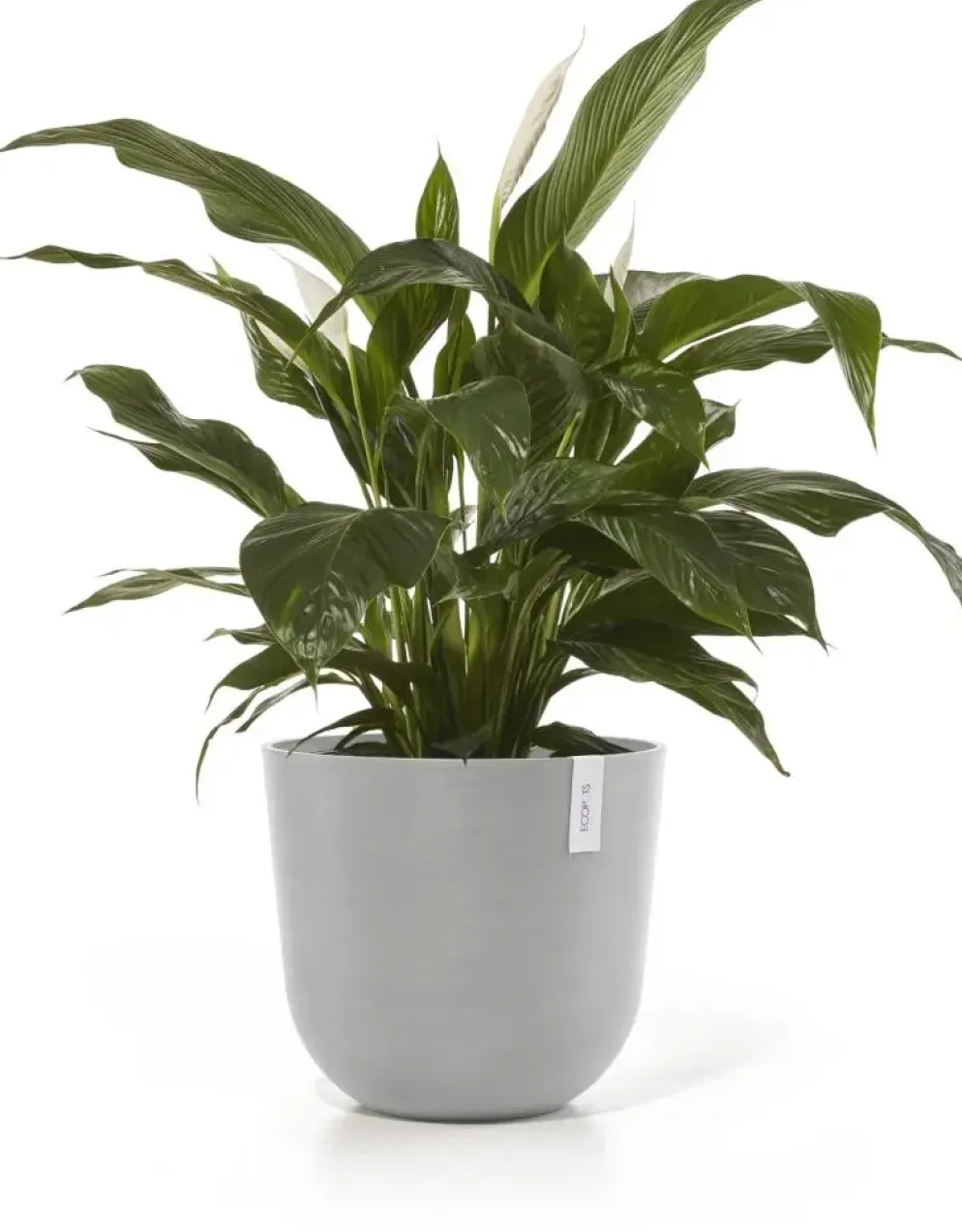 Ecopots kunststof bloempot oslo 45x39.2 cm witgrijs