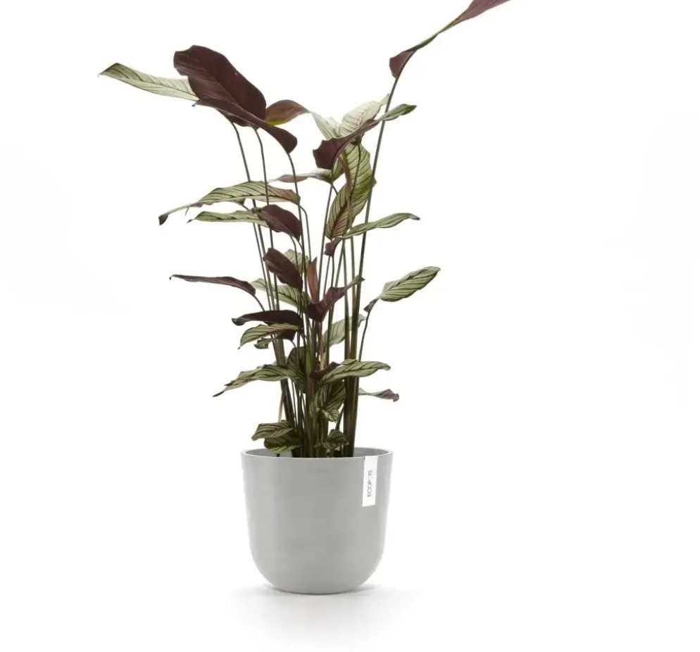 Ecopots kunststof bloempot oslo 25x21.8 cm witgrijs