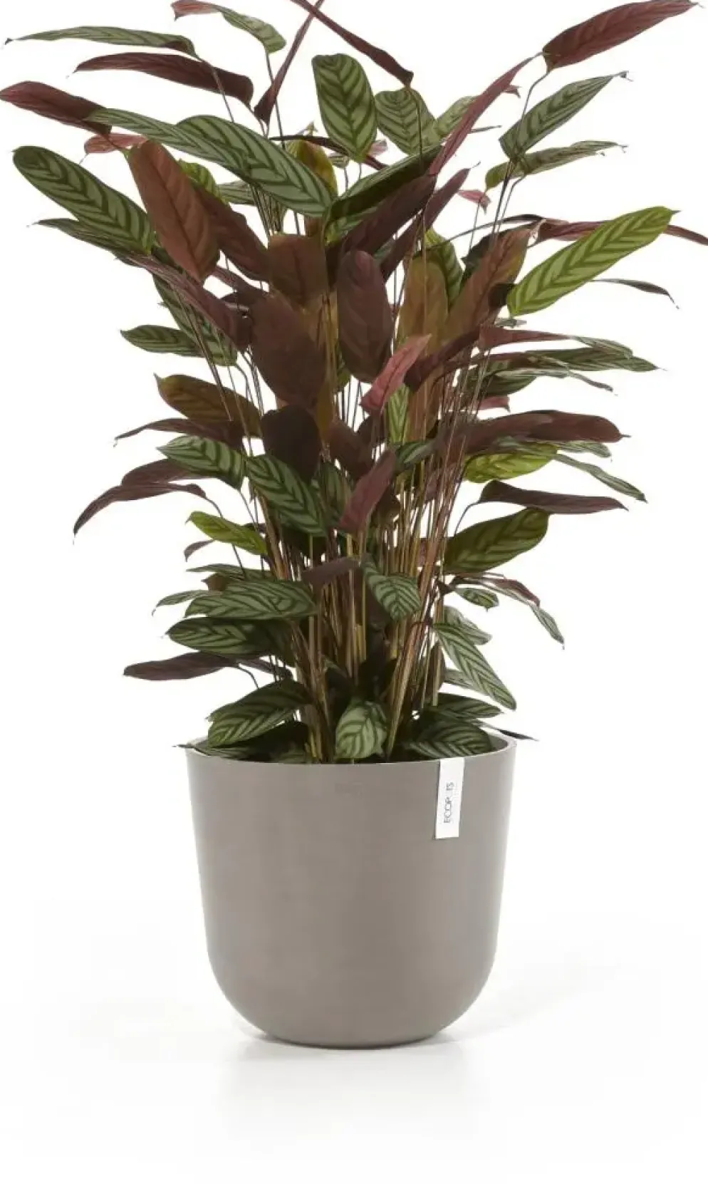 Ecopots kunststof bloempot oslo 35x30.5 cm taupe