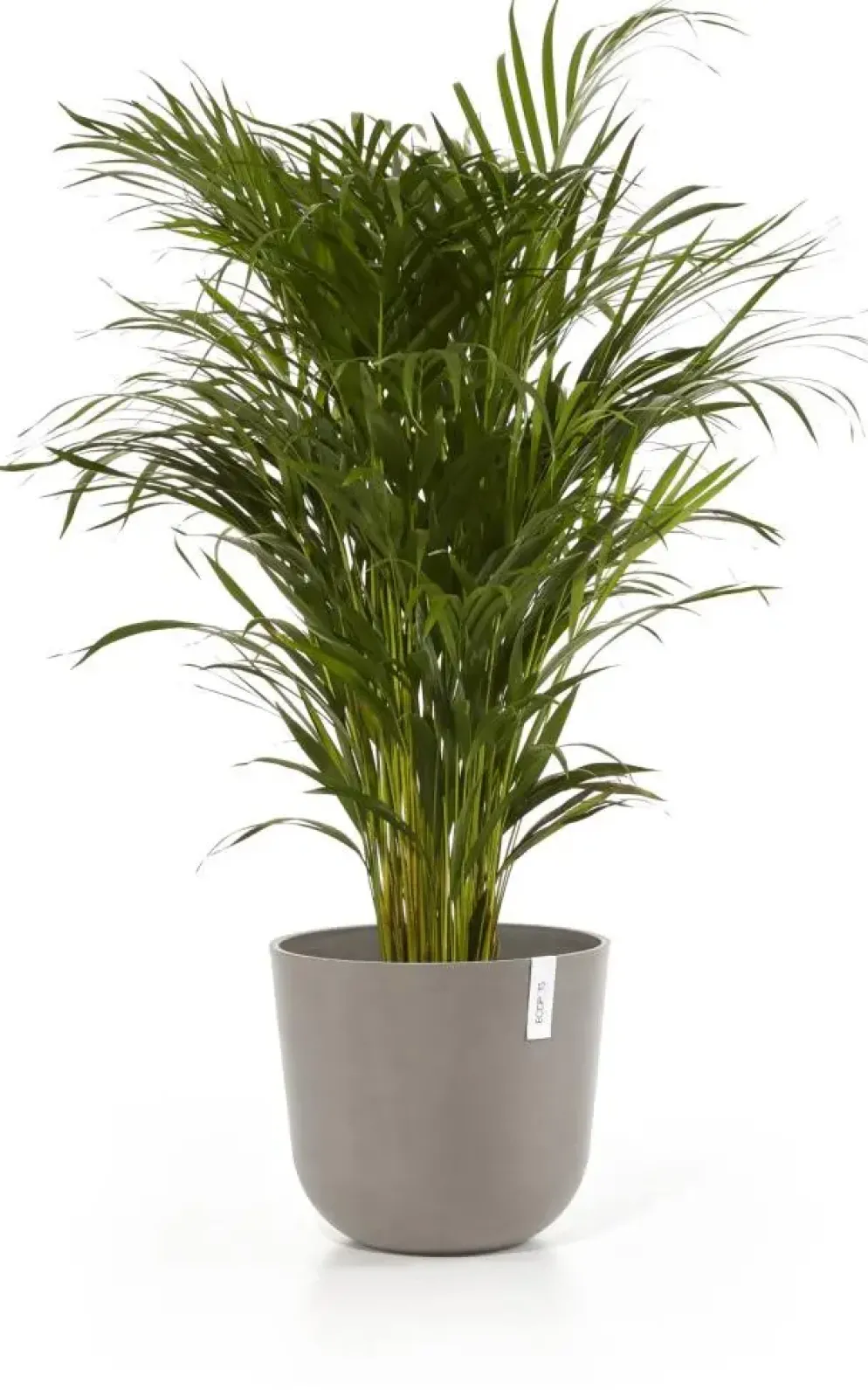 Ecopots kunststof bloempot oslo 35x30.5 cm taupe