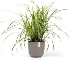 Ecopots kunststof bloempot oslo 19x16.5 cm taupe