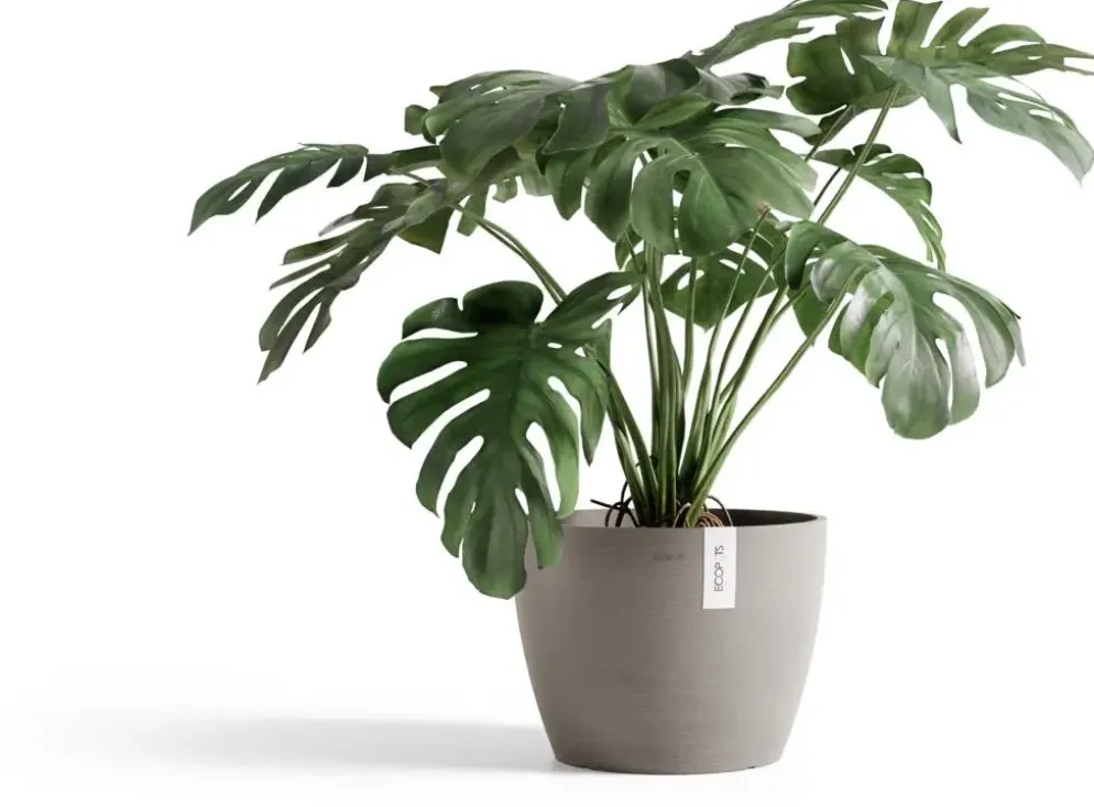 Ecopots kunststof bloempot stockholm 45x34 cm taupe