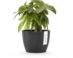 Ecopots kunststof bloempot stockholm 16.2x12 cm donkergrijs