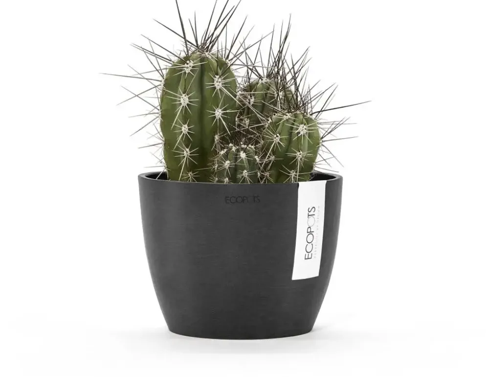 Ecopots kunststof bloempot stockholm 16.2x12 cm donkergrijs
