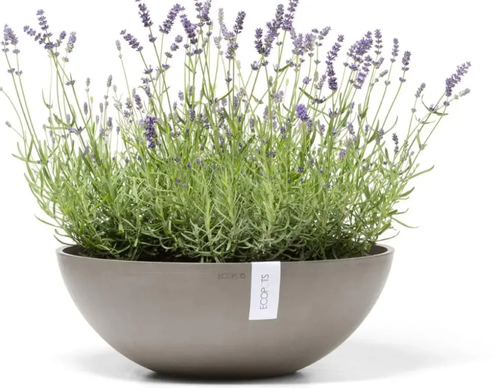 Ecopots kunststof bloempot vienna 50x18 cm taupe