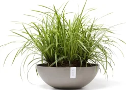 Ecopots kunststof bloempot vienna 50x18 cm taupe