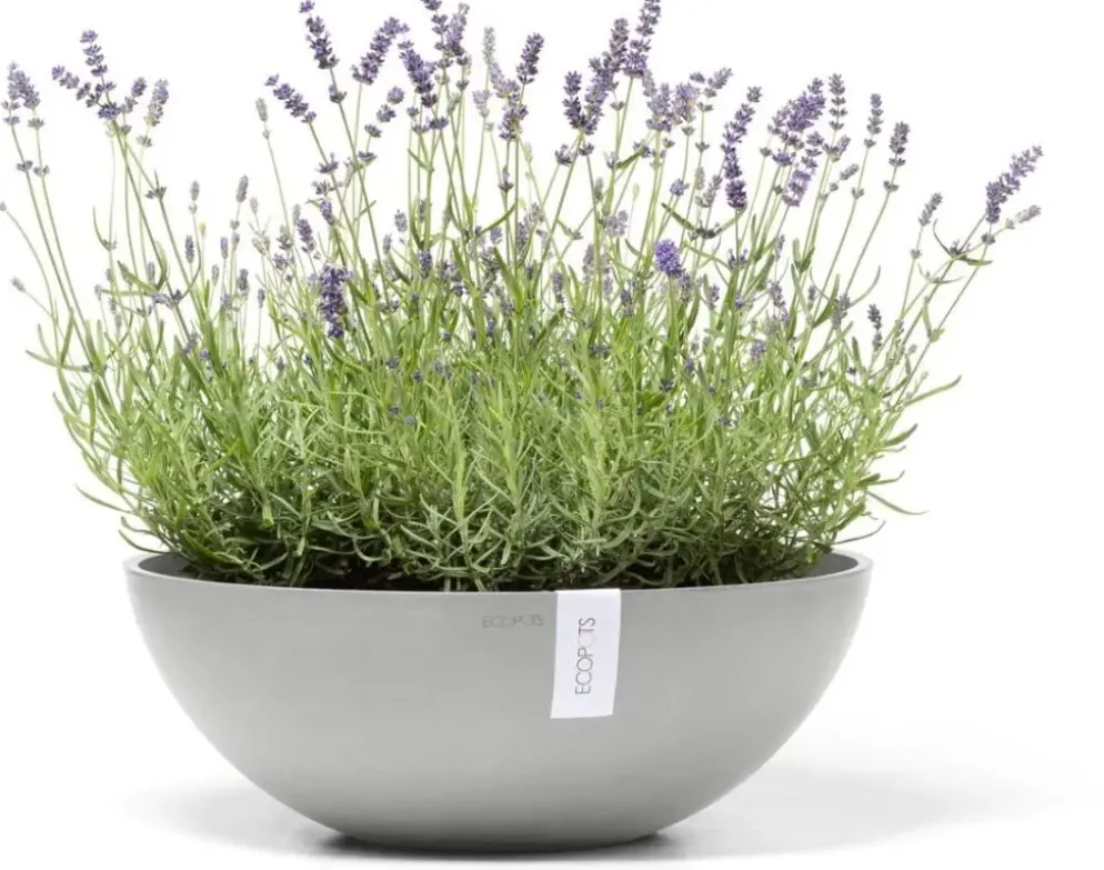 Ecopots kunststof bloempot vienna 50x18 cm witgrijs