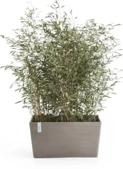 Ecopots kunststof plantenbak paris 80x38x38cm taupe