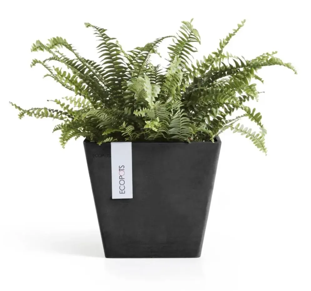 Ecopots kunststof plantenbak rotterdam 20x20x17.5 cm donkergrijs