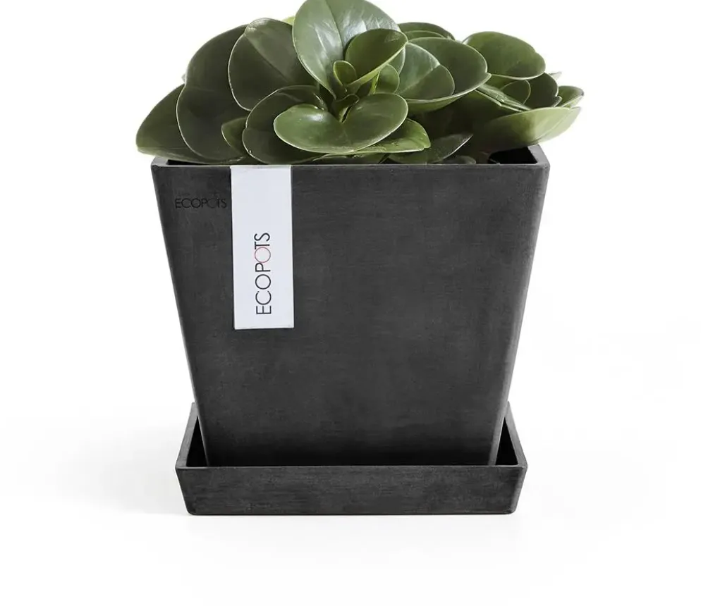 Ecopots kunststof plantenbak rotterdam 20x20x17.5 cm donkergrijs