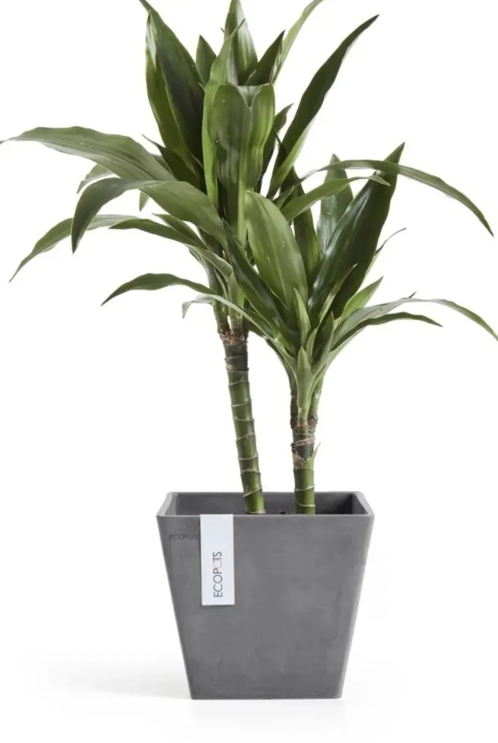 Ecopots kunststof plantenbak rotterdam 20x20x17.5 cm grijs