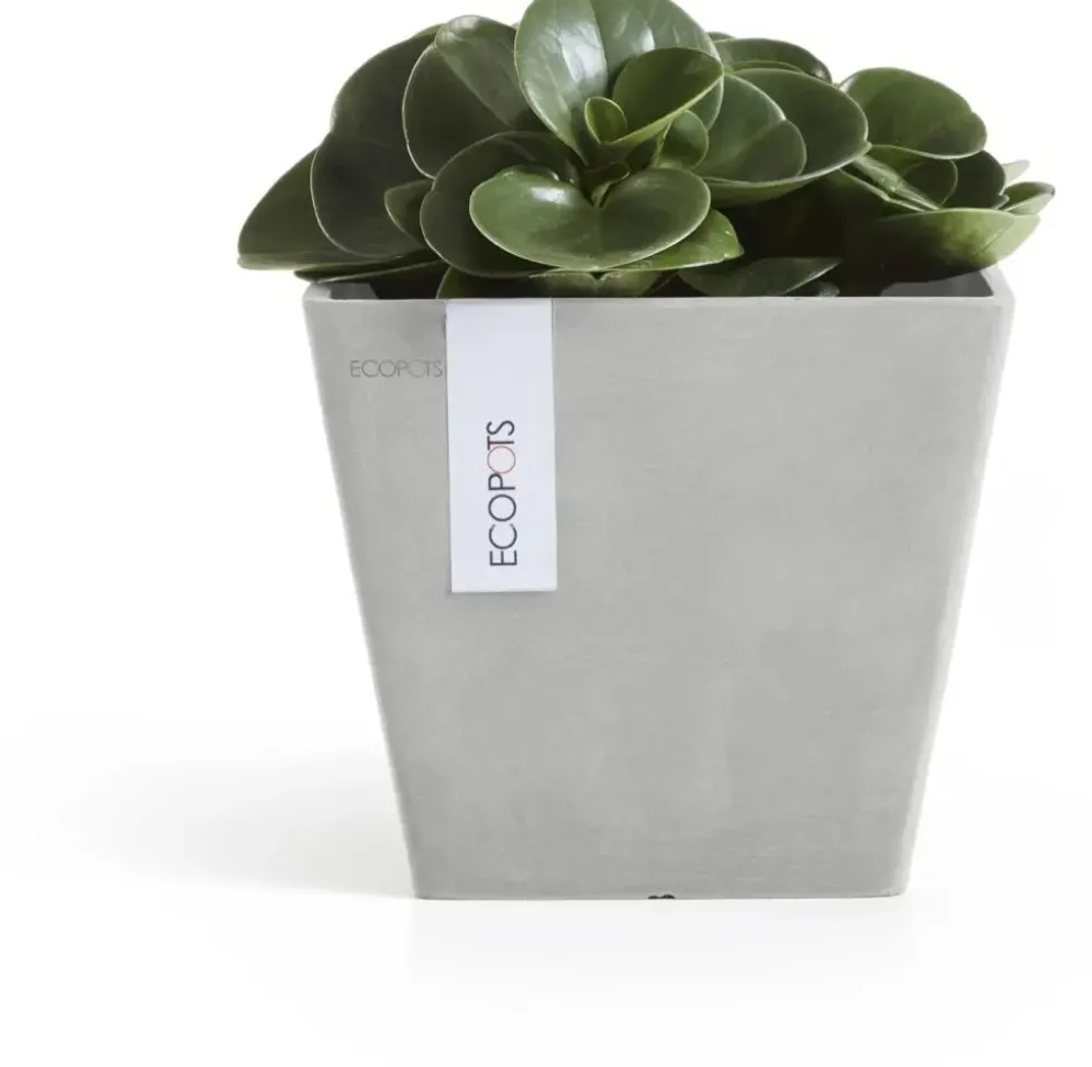 Ecopots kunststof plantenbak rotterdam 20x20x17.5 cm witgrijs