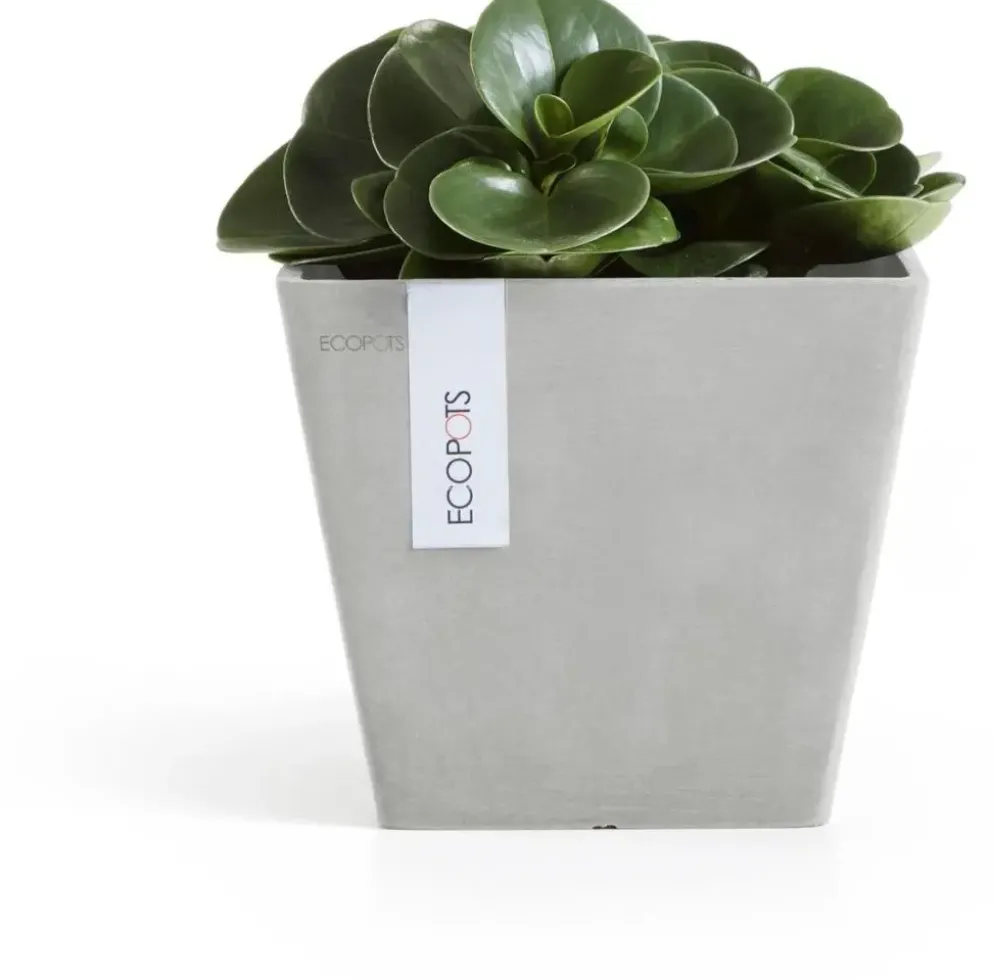 Ecopots kunststof plantenbak rotterdam 20x20x17.5 cm witgrijs