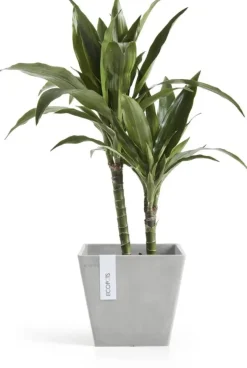Ecopots kunststof plantenbak rotterdam 20x20x17.5 cm witgrijs