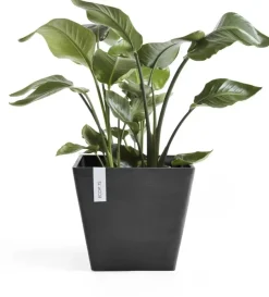 Ecopots kunststof plantenbak rotterdam 30x30x26 cm donkergrijs