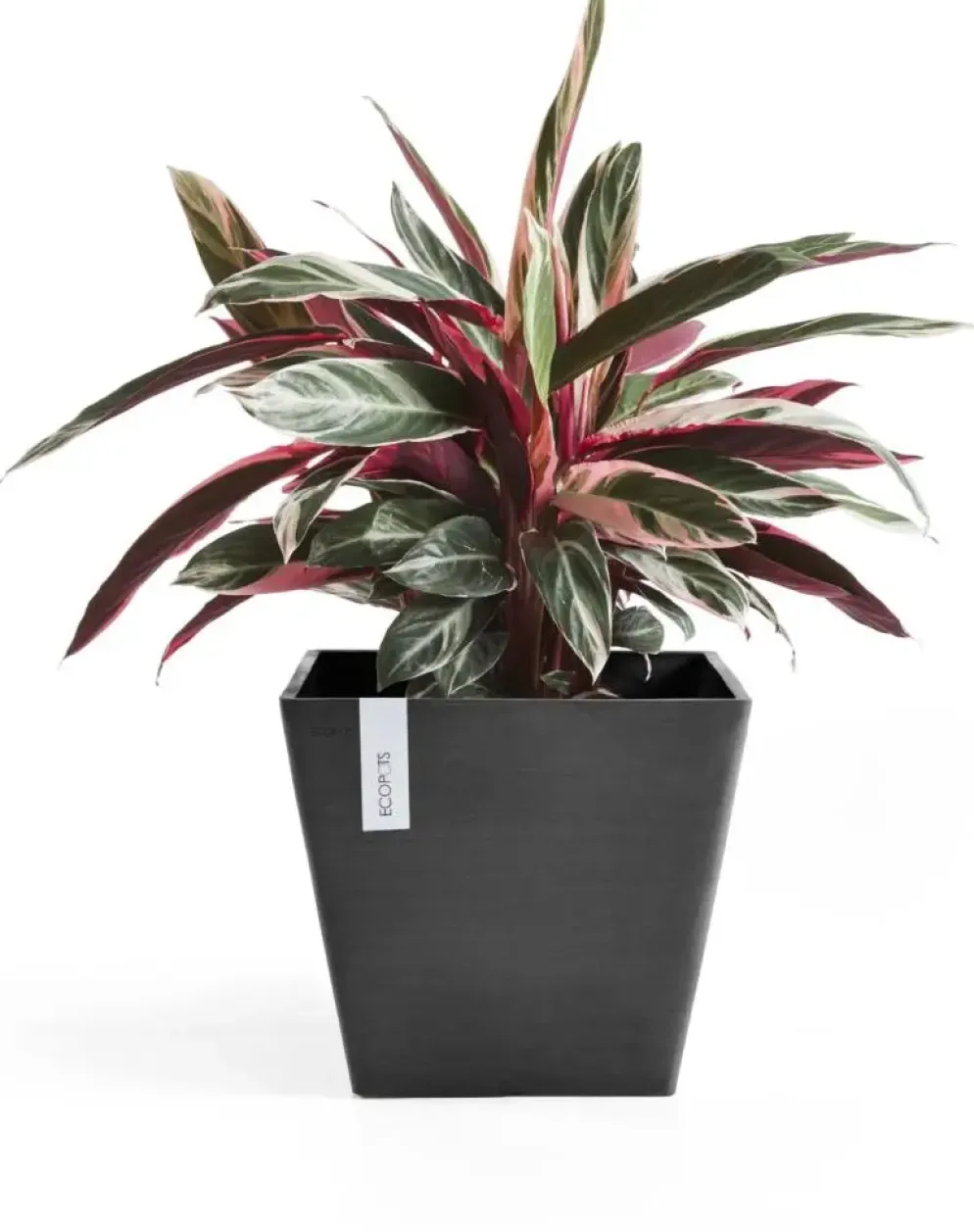 Ecopots kunststof plantenbak rotterdam 30x30x26 cm donkergrijs