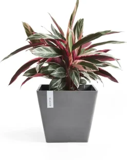Ecopots kunststof plantenbak rotterdam 30x30x26 cm grijs