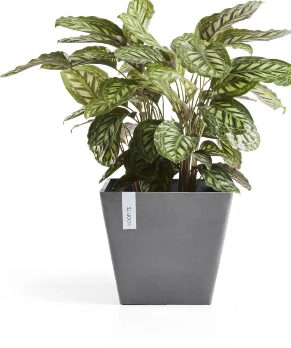 Ecopots kunststof plantenbak rotterdam 30x30x26 cm grijs