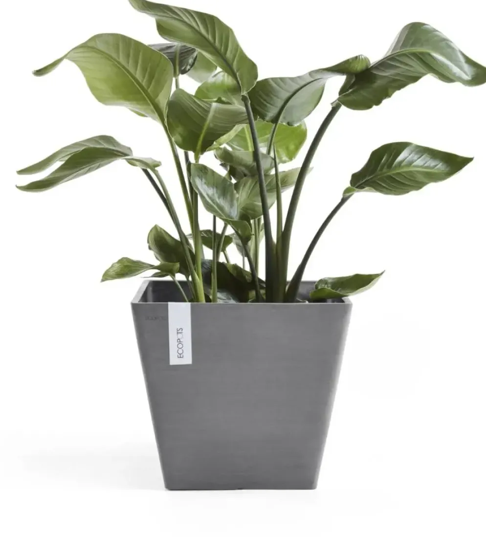 Ecopots kunststof plantenbak rotterdam 30x30x26 cm grijs