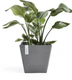 Ecopots kunststof plantenbak rotterdam 40x40x35 cm grijs