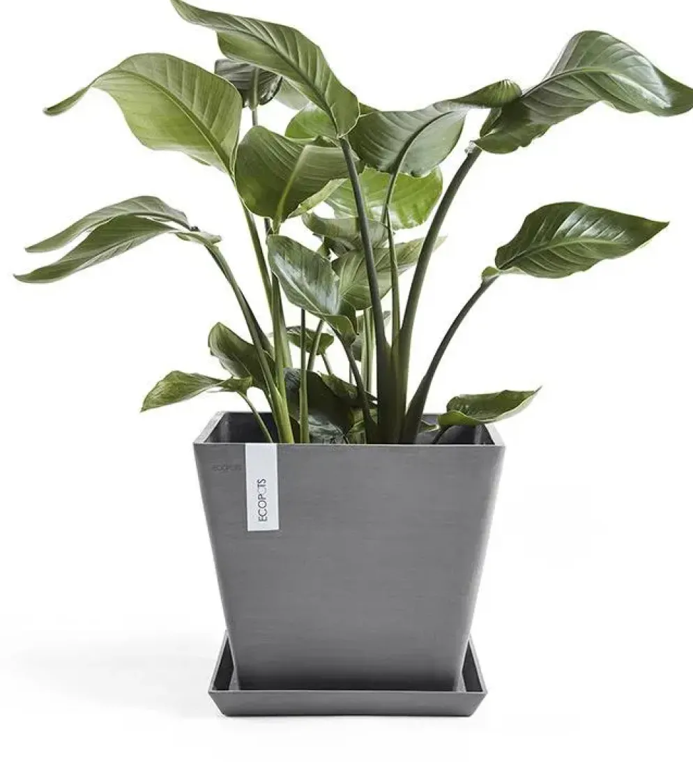 Ecopots kunststof plantenbak rotterdam 40x40x35 cm grijs