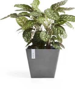 Ecopots kunststof plantenbak rotterdam 40x40x35 cm grijs