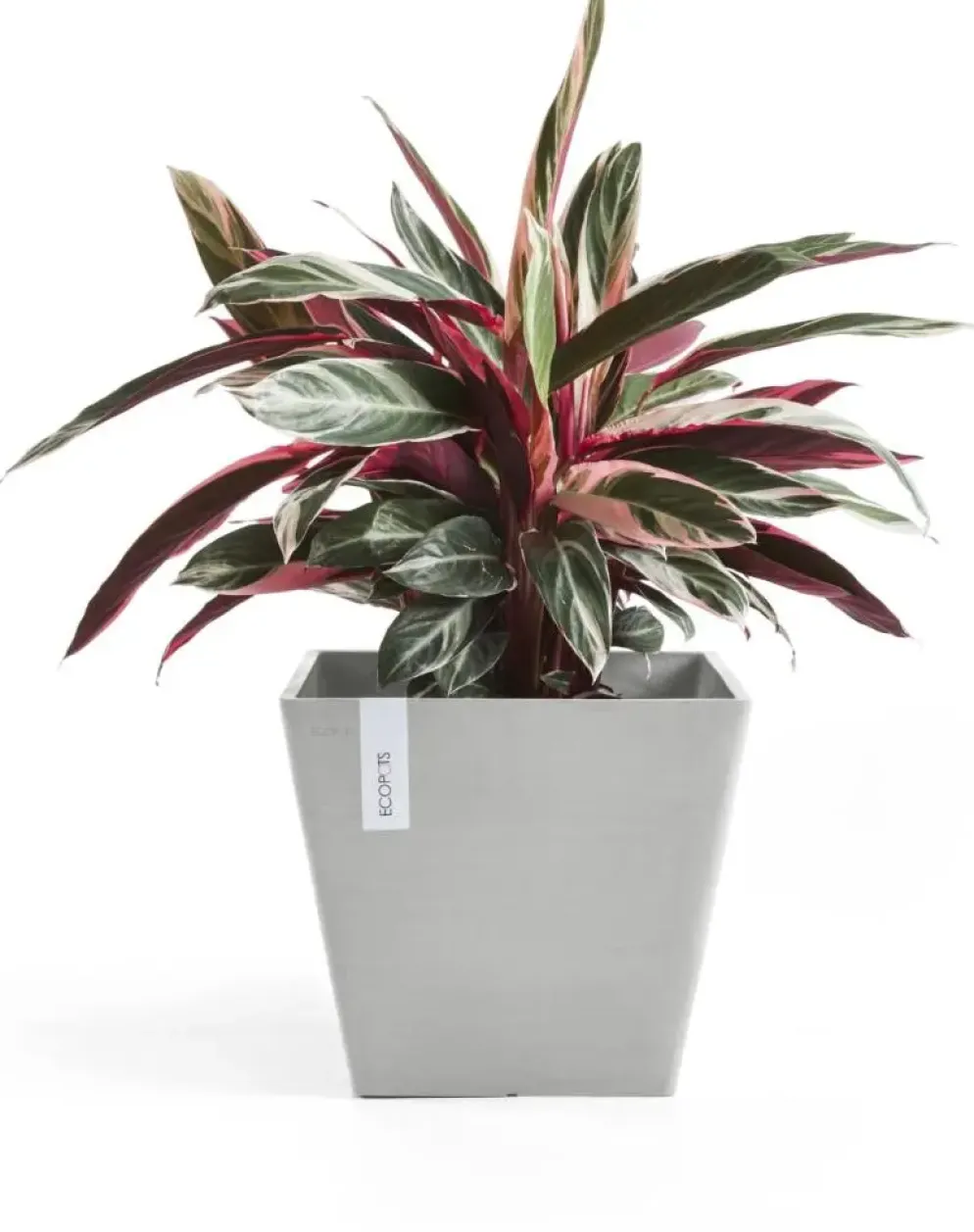 Ecopots kunststof plantenbak rotterdam 40x40x35 cm witgrijs