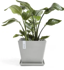 Ecopots kunststof plantenbak rotterdam 40x40x35 cm witgrijs