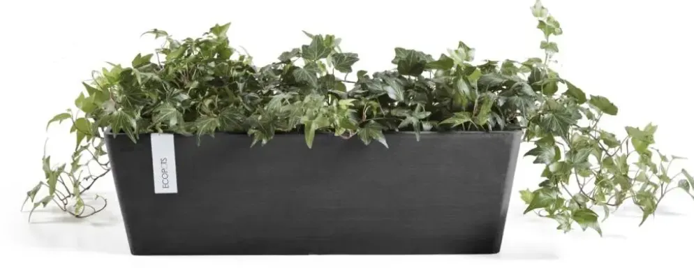 Ecopots kunststof plantenbak bruges 45x17x17 cm donkergrijs