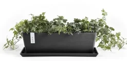 Ecopots kunststof plantenbak bruges 45x17x17 cm donkergrijs