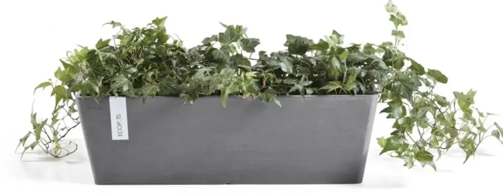 Ecopots kunststof plantenbak bruges 45x17x17 cm grijs