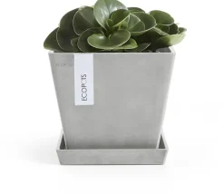 Ecopots kunststof rotterdam schotel 18x18x2.5 cm witgrijs