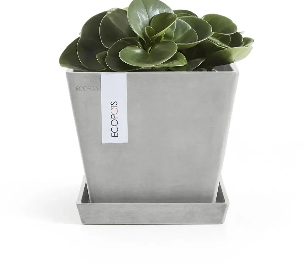 Ecopots kunststof rotterdam schotel 18x18x2.5 cm witgrijs