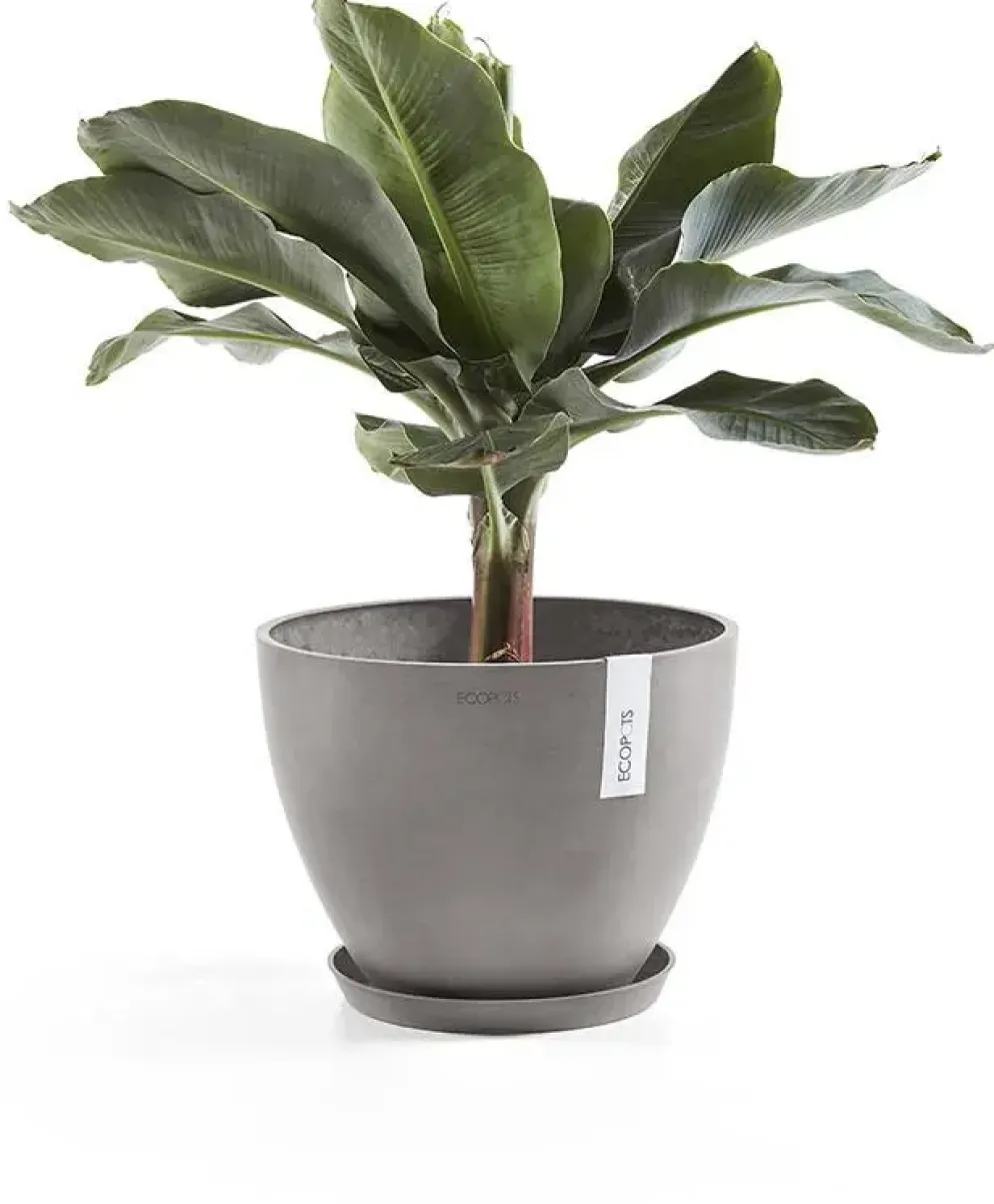 Ecopots kunststof stockholm schotel 28.7x3 cm taupe