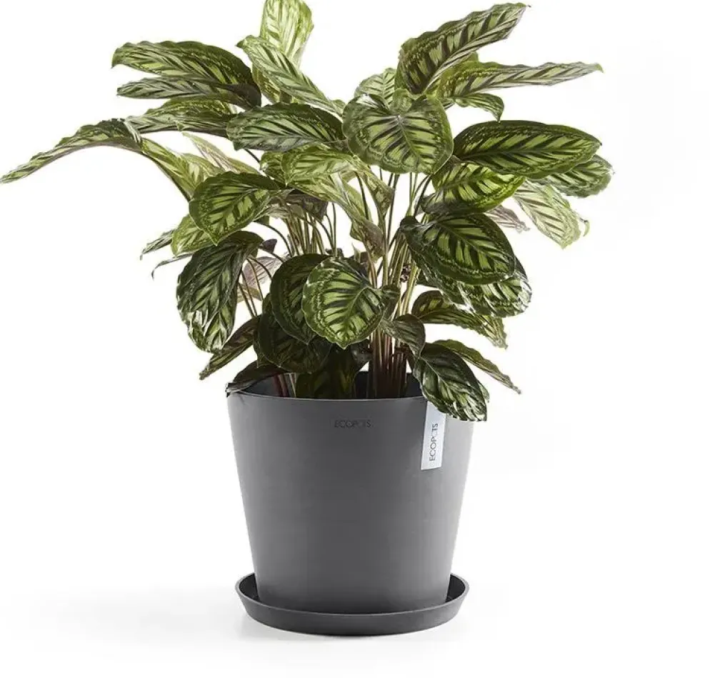 Ecopots kunststof stockholm schotel 28.7x3 cm grijs