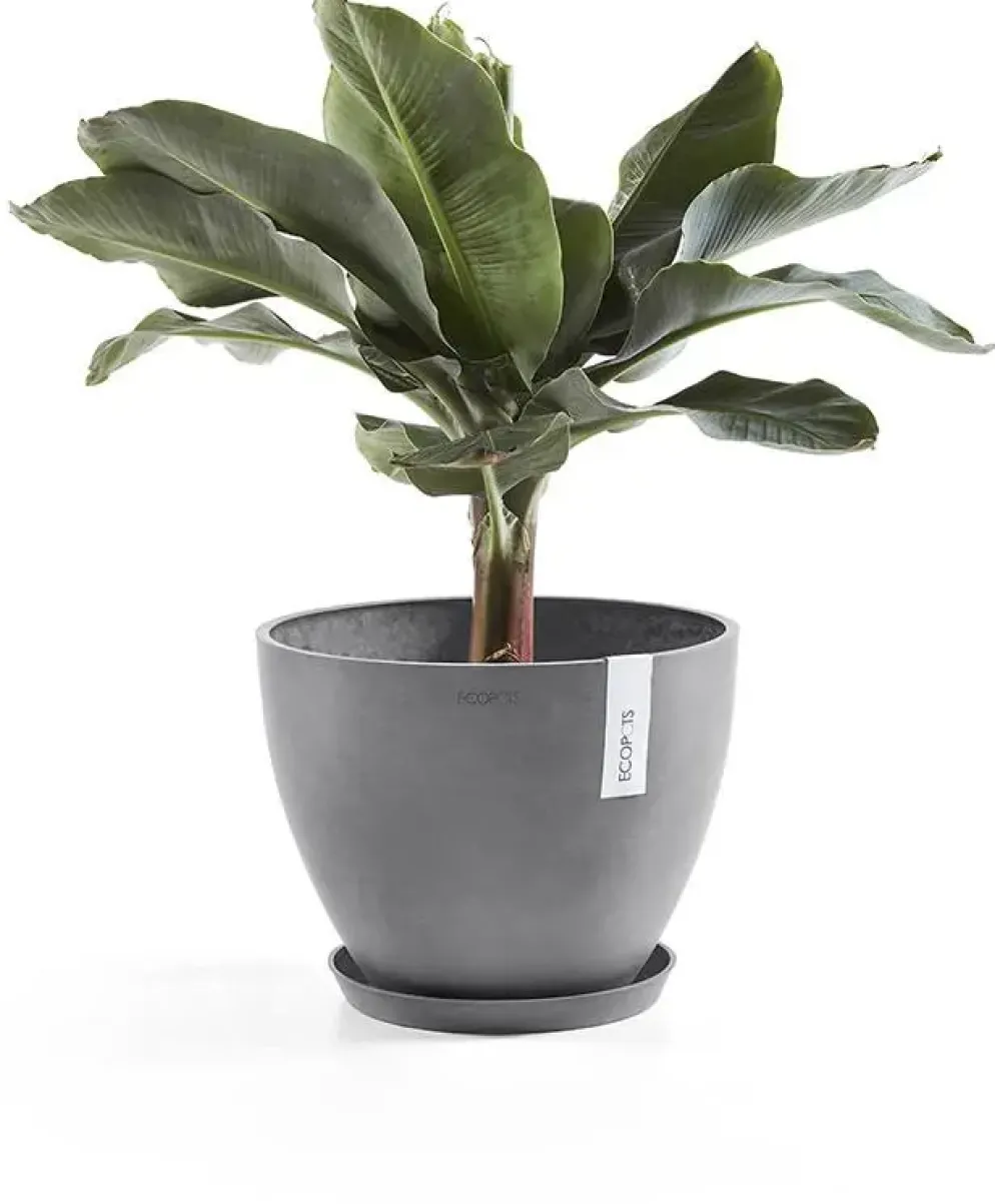 Ecopots kunststof stockholm schotel 28.7x3 cm grijs
