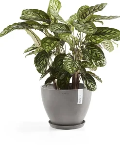 Ecopots kunststof stockholm schotel 36.5x3.5 cm taupe