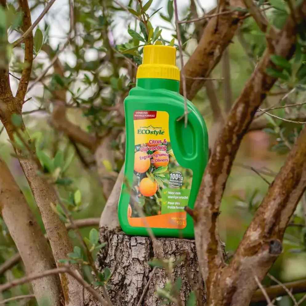 Ecostyle Citrus & Olijf voeding 500ml