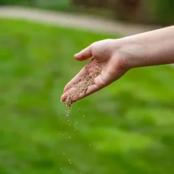 Ecostyle Graszaad-Inzaai 1 kg