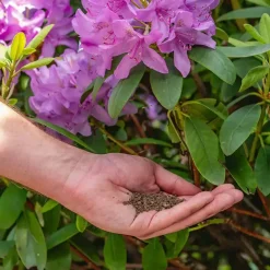 Ecostyle Rhodo & Azalea-AZ 1,6 kg