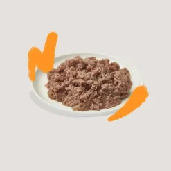 Edgard & Cooper Kat Adult Paté Chicken 85 g